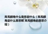 凤毛麟角什么意思是什么（凤毛麟角是什么意思呢 凤毛麟角的意思介绍）