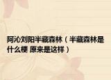 阿沁刘阳半藏森林（半藏森林是什么梗 原来是这样）