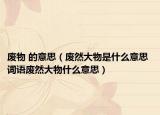 废物 的意思（废然大物是什么意思 词语废然大物什么意思）