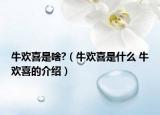 牛欢喜是啥?（牛欢喜是什么 牛欢喜的介绍）