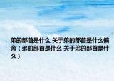 弟的部首是什么 关于弟的部首是什么偏旁（弟的部首是什么 关于弟的部首是什么）