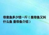 帝皇鱼多少钱一斤（皇帝鱼又叫什么鱼 皇帝鱼介绍）