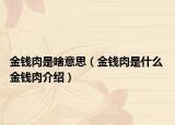 金钱肉是啥意思（金钱肉是什么 金钱肉介绍）