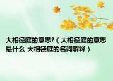 大相径庭的意思?（大相径庭的意思是什么 大相径庭的名词解释）
