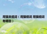 用猫来组词（用猫组词 用猫组词有哪些）