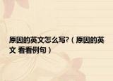 原因的英文怎么写?（原因的英文 看看例句）