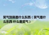 笑气到底是什么东西（笑气是什么东西 什么是笑气）