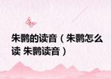 朱鹮的读音（朱鹮怎么读 朱鹮读音）