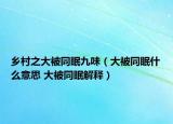 乡村之大被同眠九味（大被同眠什么意思 大被同眠解释）