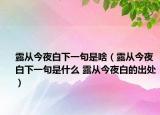 露从今夜白下一句是啥（露从今夜白下一句是什么 露从今夜白的出处）