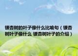 银杏树的叶子像什么比喻句（银杏树叶子像什么 银杏树叶子的介绍）
