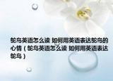 鸵鸟英语怎么读 如何用英语表达鸵鸟的心情（鸵鸟英语怎么读 如何用英语表达鸵鸟）
