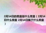 2月14日的星座是什么星座（2月14日什么星座 2月14日属于什么星座）
