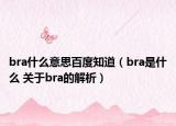 bra什么意思百度知道（bra是什么 关于bra的解析）