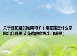 关于走花路的唯美句子（走花路是什么意思出自哪里 走花路的意思出自哪里）