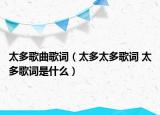 太多歌曲歌词（太多太多歌词 太多歌词是什么）