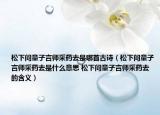 松下问童子言师采药去是哪首古诗（松下问童子言师采药去是什么意思 松下问童子言师采药去的含义）