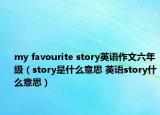 my favourite story英语作文六年级（story是什么意思 英语story什么意思）