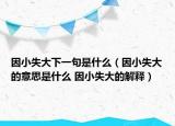因小失大下一句是什么（因小失大的意思是什么 因小失大的解释）