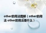 other的用法图解（other的用法 other的用法是什么）