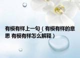 有模有样上一句（有模有样的意思 有模有样怎么解释）
