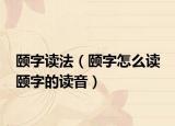 颐字读法（颐字怎么读 颐字的读音）