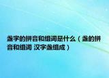 盏字的拼音和组词是什么（盏的拼音和组词 汉字盏组成）