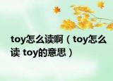 toy怎么读啊（toy怎么读 toy的意思）