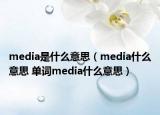 media是什么意思（media什么意思 单词media什么意思）