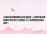 口袋妖怪漆黑的魅影幼牙龙配招（口袋妖怪漆黑的魅影幼牙龙什么性格好 主人和宠物的性格会很想）