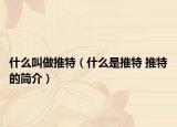 什么叫做推特（什么是推特 推特的简介）