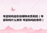 琴瑟和鸣是形容哪种关系和睦（琴瑟和鸣什么意思 琴瑟和鸣的意思）