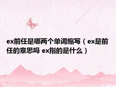 ex前任是哪两个单词缩写（ex是前任的意思吗 ex指的是什么）