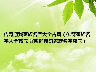 传奇游戏家族名字大全古风（传奇家族名字大全霸气 好听的传奇家族名字霸气）