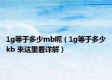 1g等于多少mb呢（1g等于多少kb 来这里看详解）