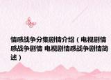情感战争分集剧情介绍（电视剧情感战争剧情 电视剧情感战争剧情简述）