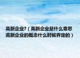 高新企业?（高新企业是什么意思 高新企业的概念什么时候界定的）