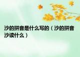 沙的拼音是什么写的（沙的拼音 沙读什么）