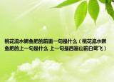 桃花流水鳜鱼肥的前面一句是什么（桃花流水鳜鱼肥的上一句是什么 上一句是西塞山前白鹭飞）