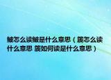 鲏怎么读鲏是什么意思（篪怎么读什么意思 篪如何读是什么意思）