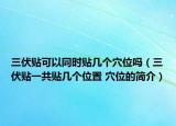 三伏贴可以同时贴几个穴位吗（三伏贴一共贴几个位置 穴位的简介）