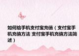 如何给手机支付宝充值（支付宝手机充值方法 支付宝手机充值方法简述）