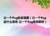 立一个flag的表情图（立一个flag是什么意思 立一个flag意思解析）