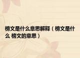 榜文是什么意思解释（榜文是什么 榜文的意思）