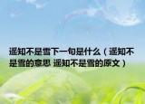 遥知不是雪下一句是什么（遥知不是雪的意思 遥知不是雪的原文）