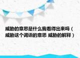 威胁的意思是什么我看得出来吗（威胁这个词语的意思 威胁的解释）