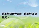 掠的组词是什么呀（掠的组词 掠组词）