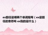 ex前任是哪两个单词缩写（ex是前任的意思吗 ex指的是什么）