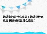 婉转指的是什么意思（婉转是什么意思 词语婉转是什么意思）