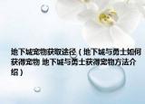地下城宠物获取途径（地下城与勇士如何获得宠物 地下城与勇士获得宠物方法介绍）